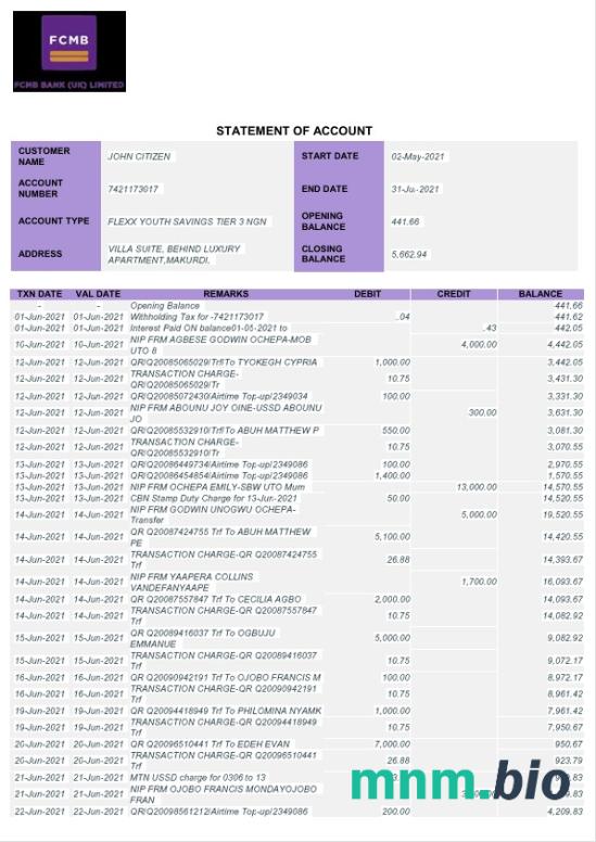 Nigeria Enterprise Bank konto statement szablon Worda i PDF